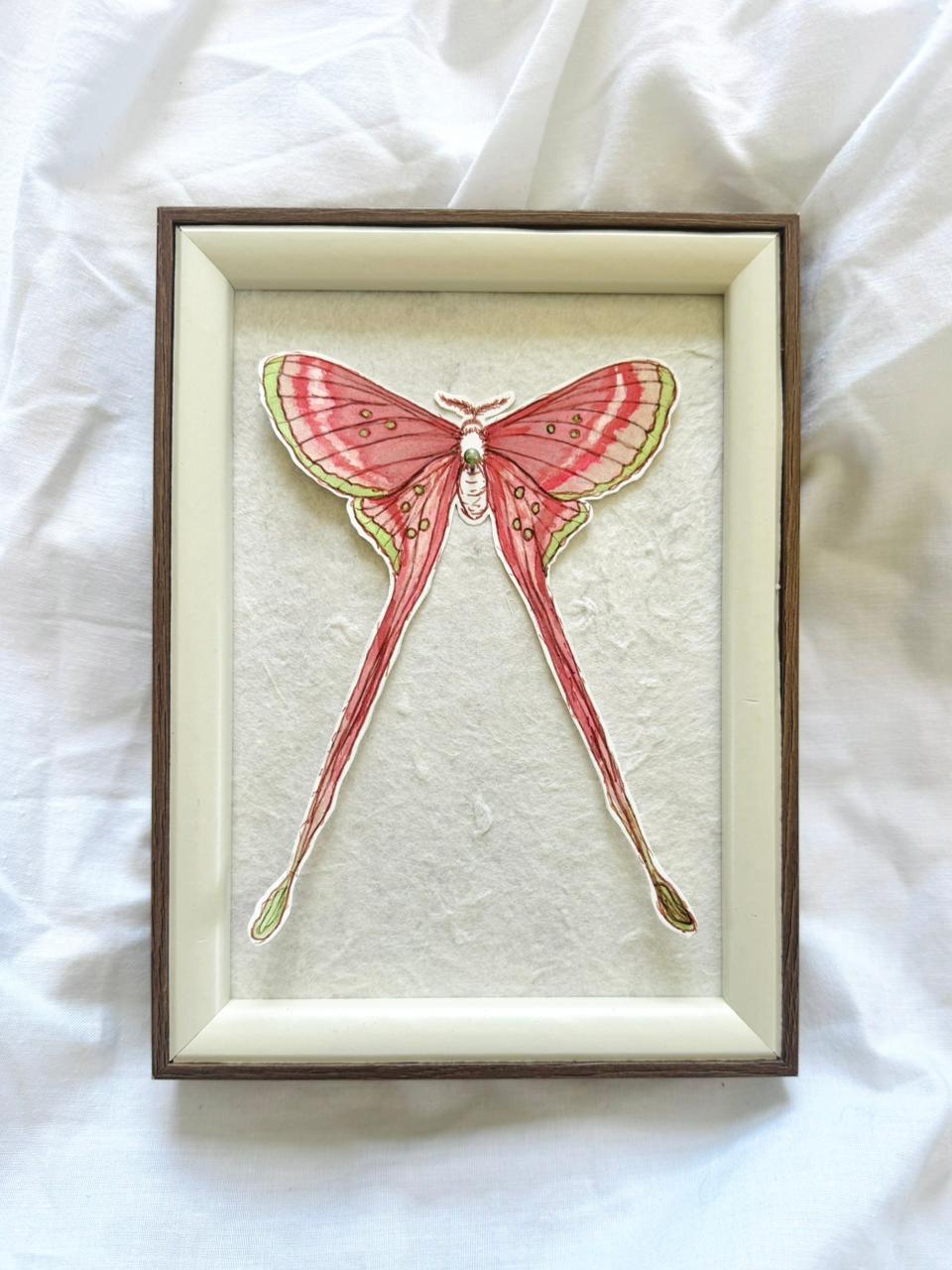 Pink Silk Moth Original Painting